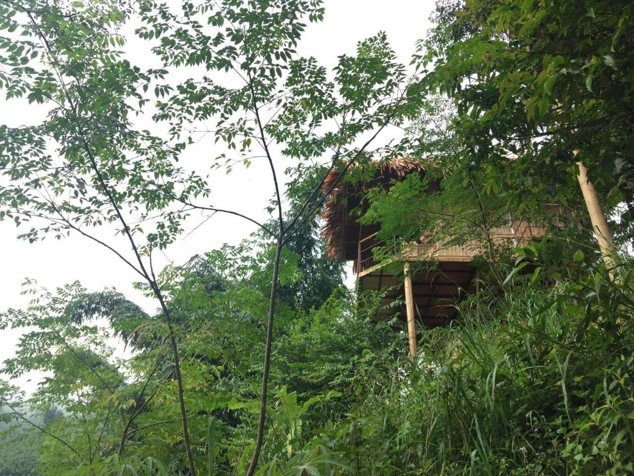 Eco Hills Homestay Шапа Экстерьер фото